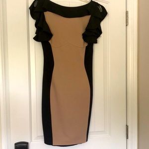 Ted baker cocktail dress two-tone silhouette
